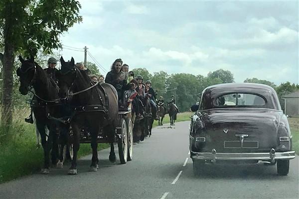 Rencontre de chevaux